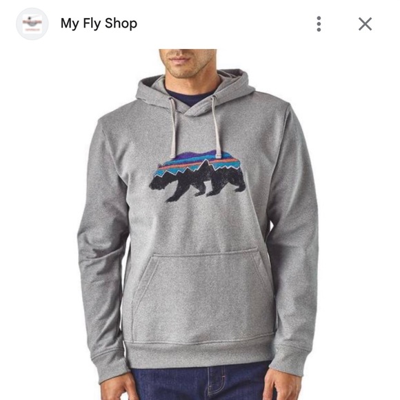 Patagonia Other - Patagonia Men's Fitz Roy Bear Midweight Hoody - Gray